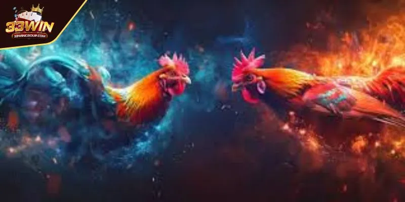 Khám phá thế giới đá gà 33WIN